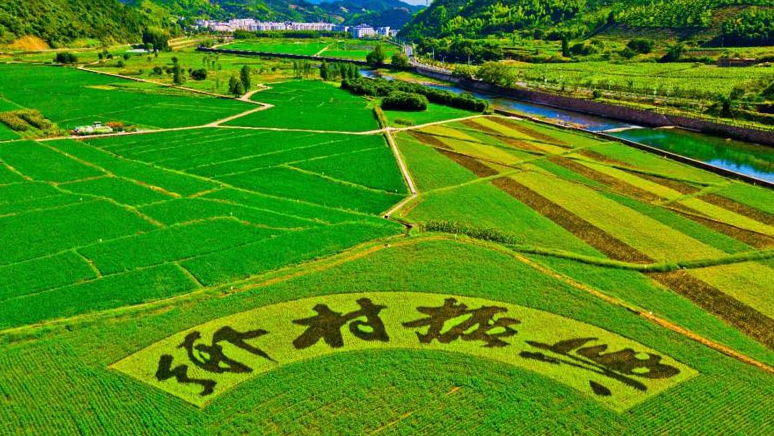 政策解讀｜《中共中央 國務院關于做好2023年全面推進鄉(xiāng)村振興重點工作的意見》